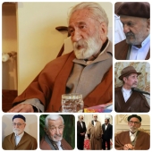 سردرگمی شیوخ