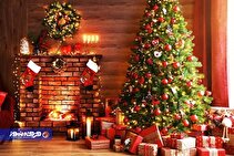 سرگذشت درخت کریسمس از دوران کهن تا دنیای امروز