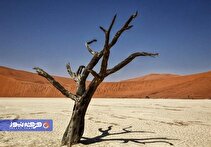 چرا ترویج ذکرها و نسخه‌های بی‌ریشه خطرناک است؟